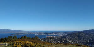 Wellington vom Mt. Kaukau aus